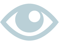 icon eye